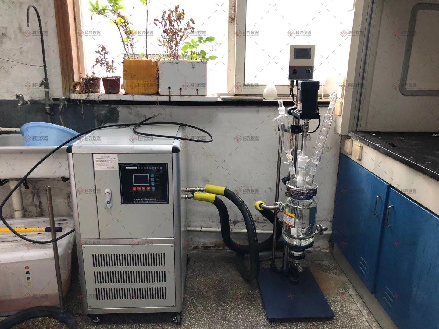 上海玻璃反应釜+制冷加热循环器